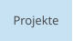 Projekte