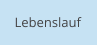 Lebenslauf