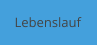 Lebenslauf